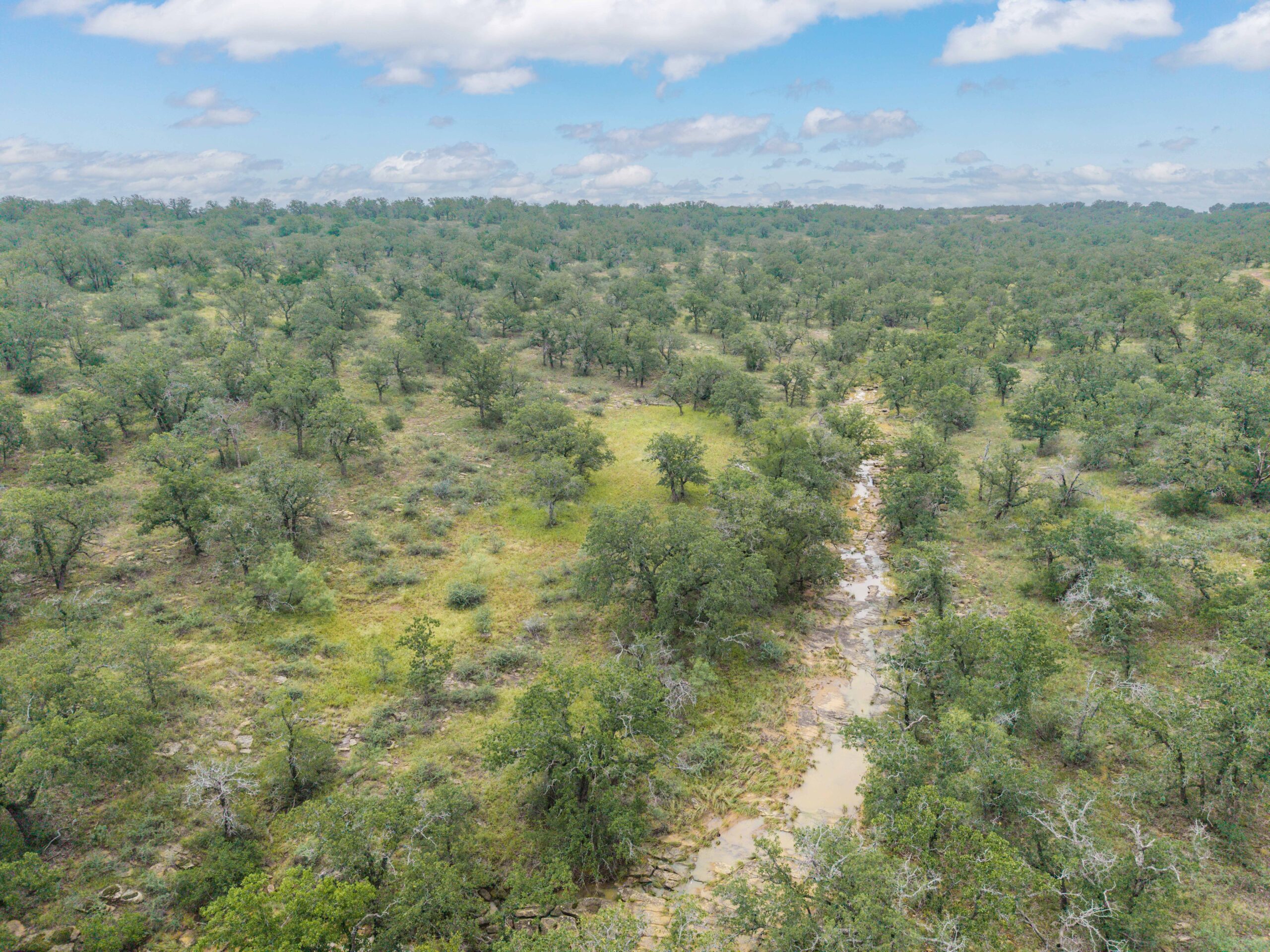 Country Ranch and hunting paradise on 333.17 acres in San Saba County for sale