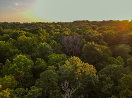Land For Sale Barton County, MO 160± acres