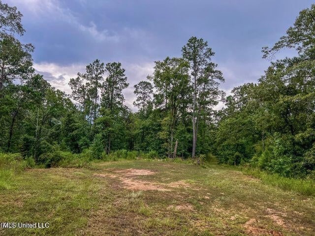 95 Acres of Prime Hunting Property in Hinds County
