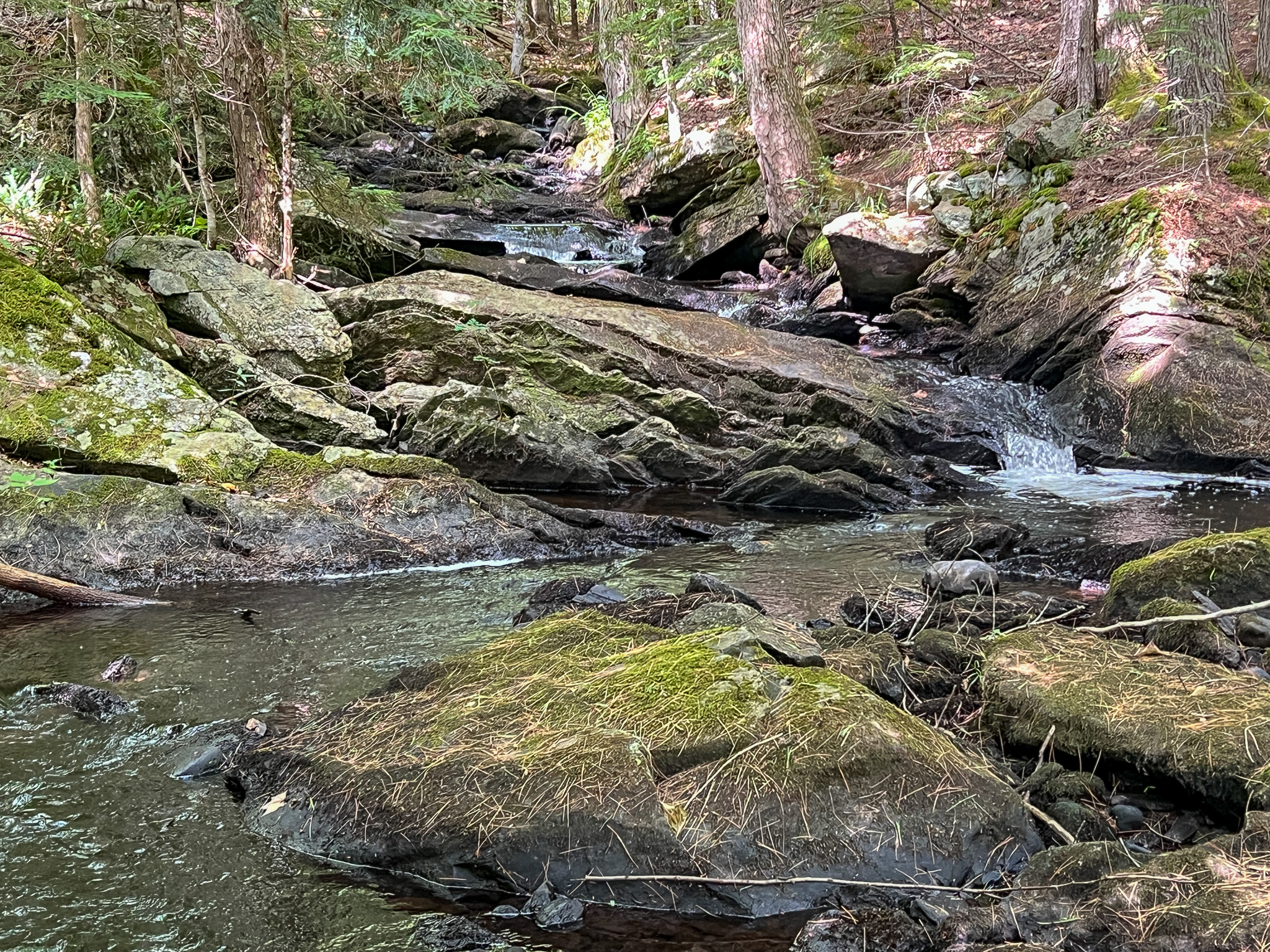 35± Acres with 1500 feet on the Brook