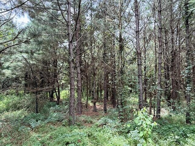 67 Acres For Sale Lawrence County MS