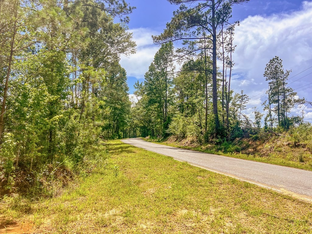 Land for Sale in Amite County, MS