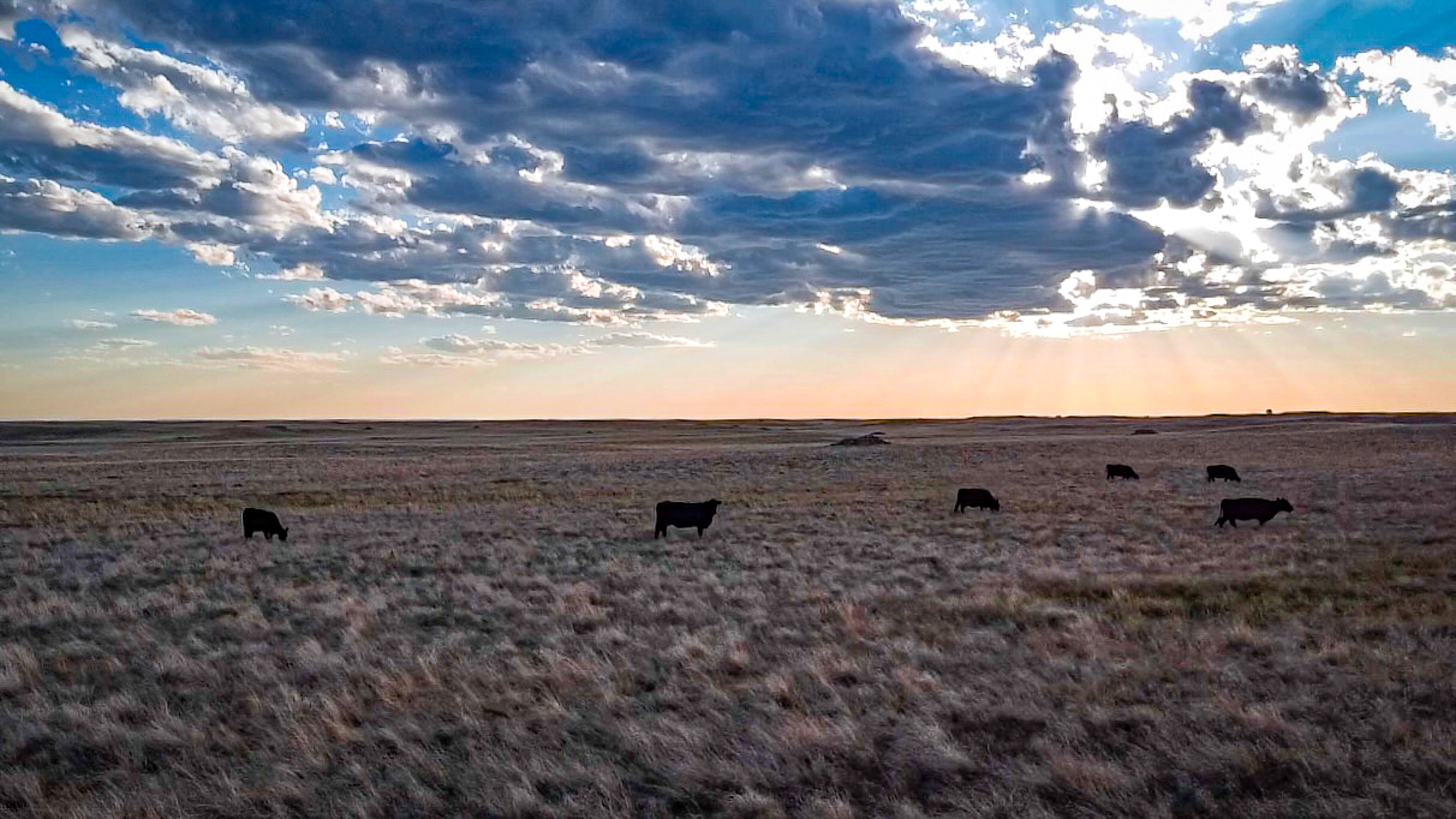 Norman Mavencamp Ranch