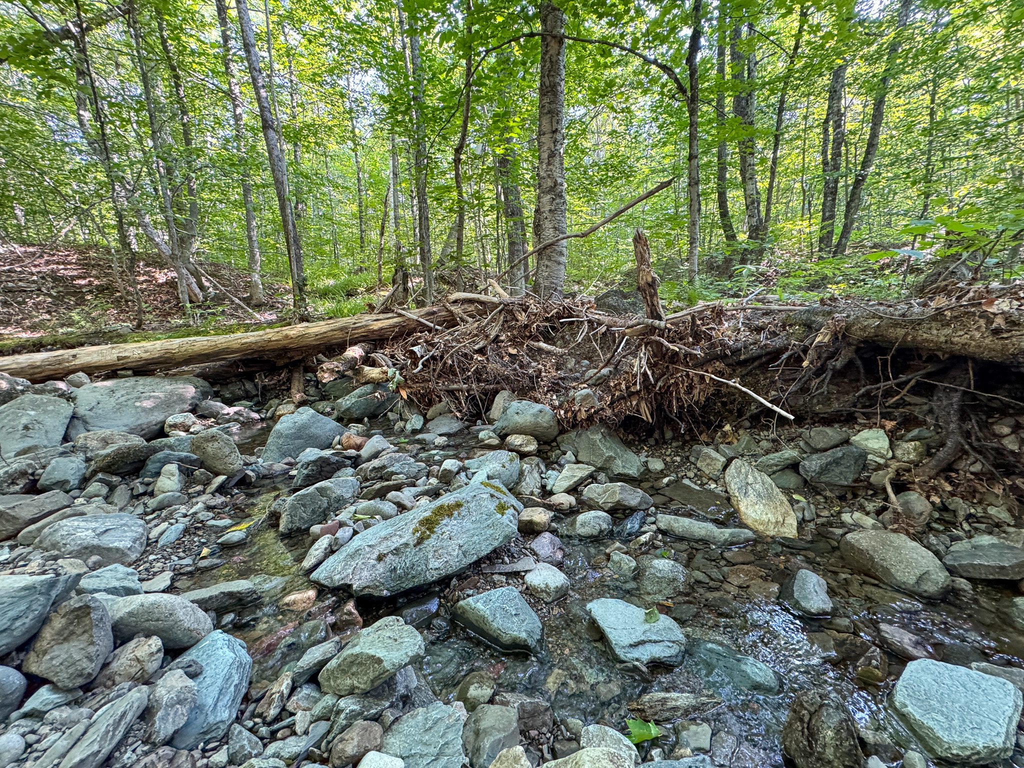 80± Acres of Off-Grid Mountain Land in Mount Chase, Maine