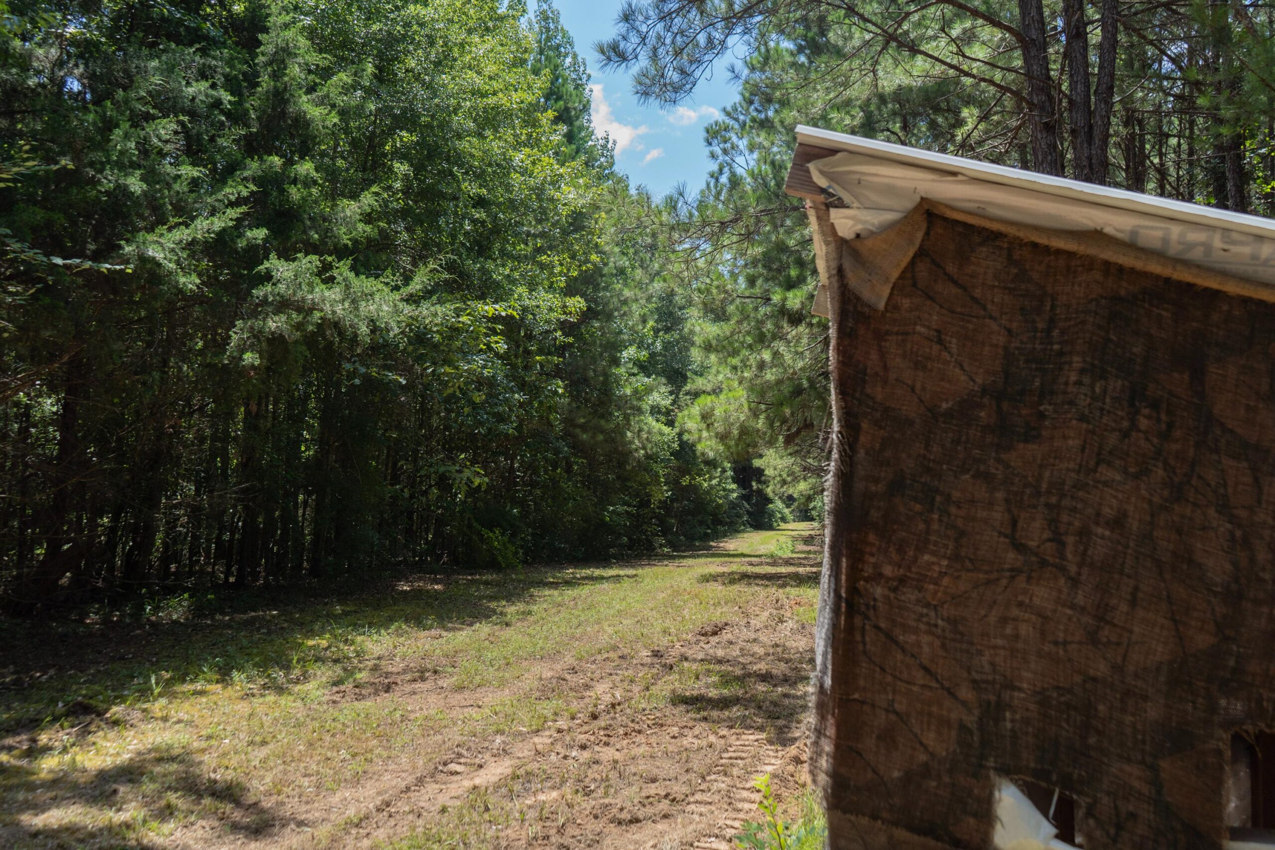 Lapine 216 Multi Use Recreational Timber – Ouachita Parish