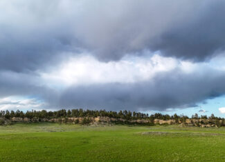 Buffalo Creek Ranch