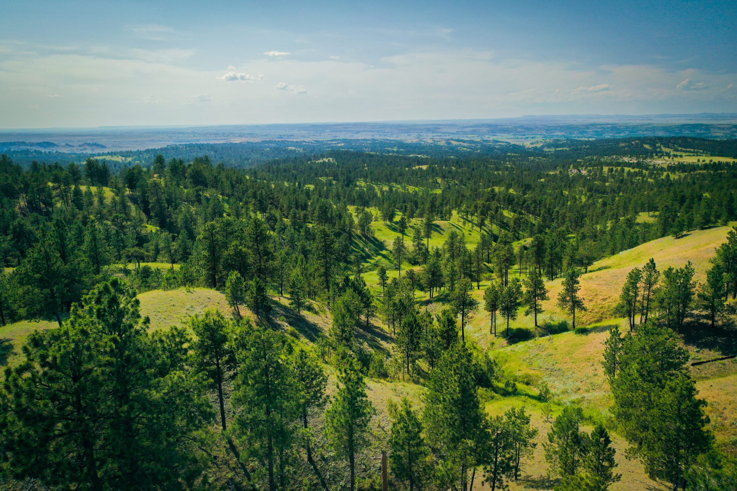 Pine Ridge Sanctuary-Premier Montana Hunting Land near Billings