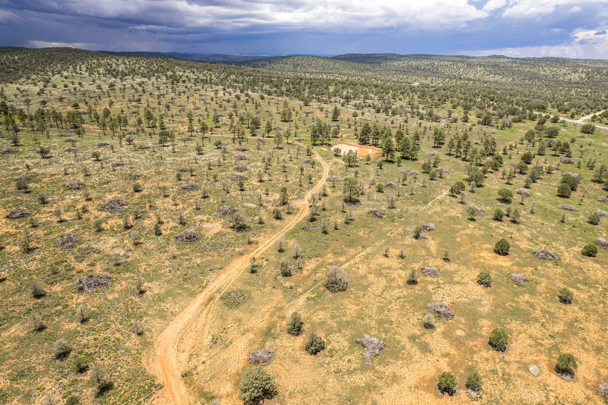 Cattle & Hunting Ranch for Sale in Weed, NM