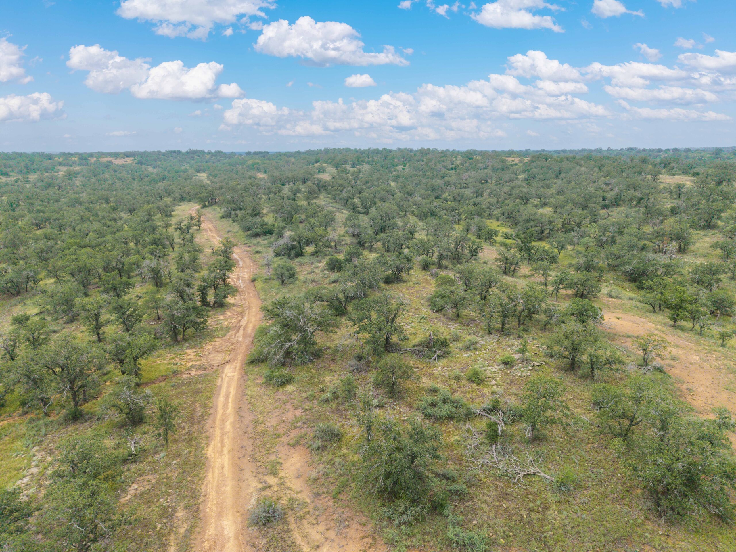 Country Ranch and hunting paradise on 333.17 acres in San Saba County for sale