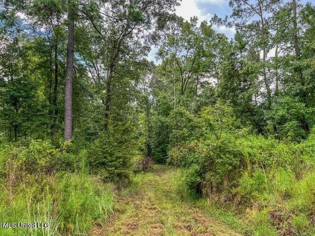 95 Acres of Prime Hunting Property in Hinds County