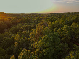 Land For Sale Barton County, MO 160± acres