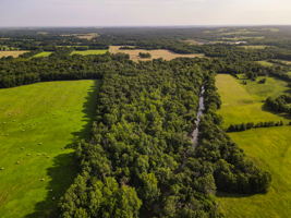 142+\- acres  For Sale El Dorado Springs MO