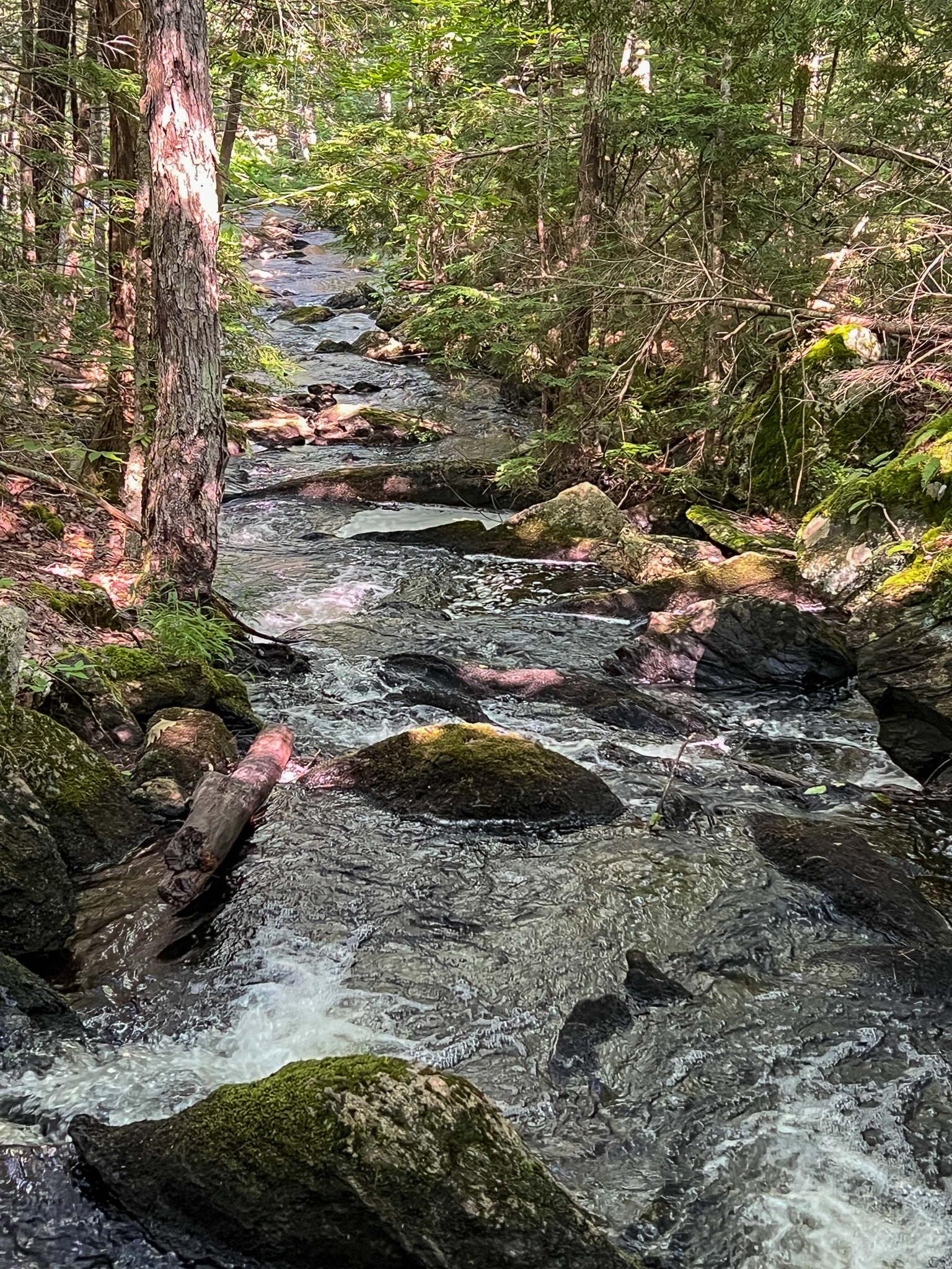 35± Acres with 1500 feet on the Brook