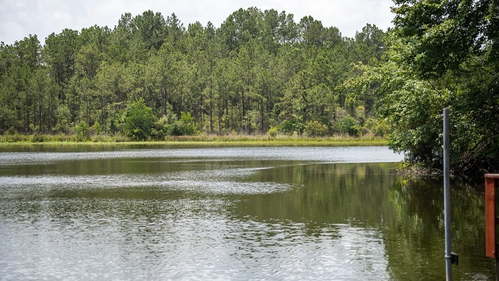 Clear Lake Land in East Feliciana Parish, Louisiana