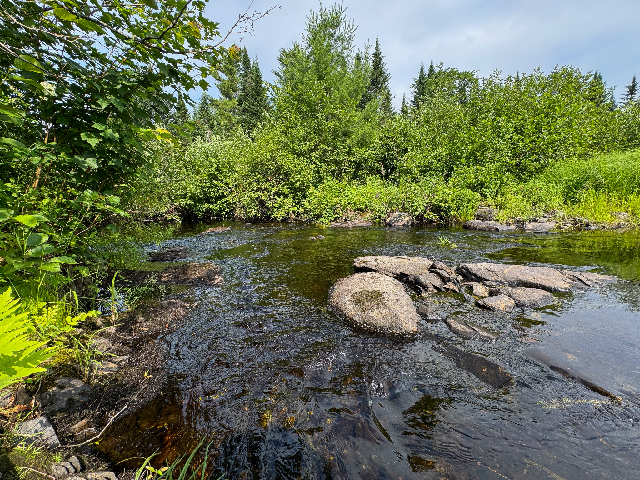 Remote Maine Hunting Camp with Stream Frontage