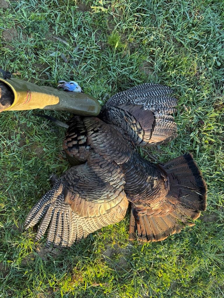 Amite County Hunting Land – The Winding 41
