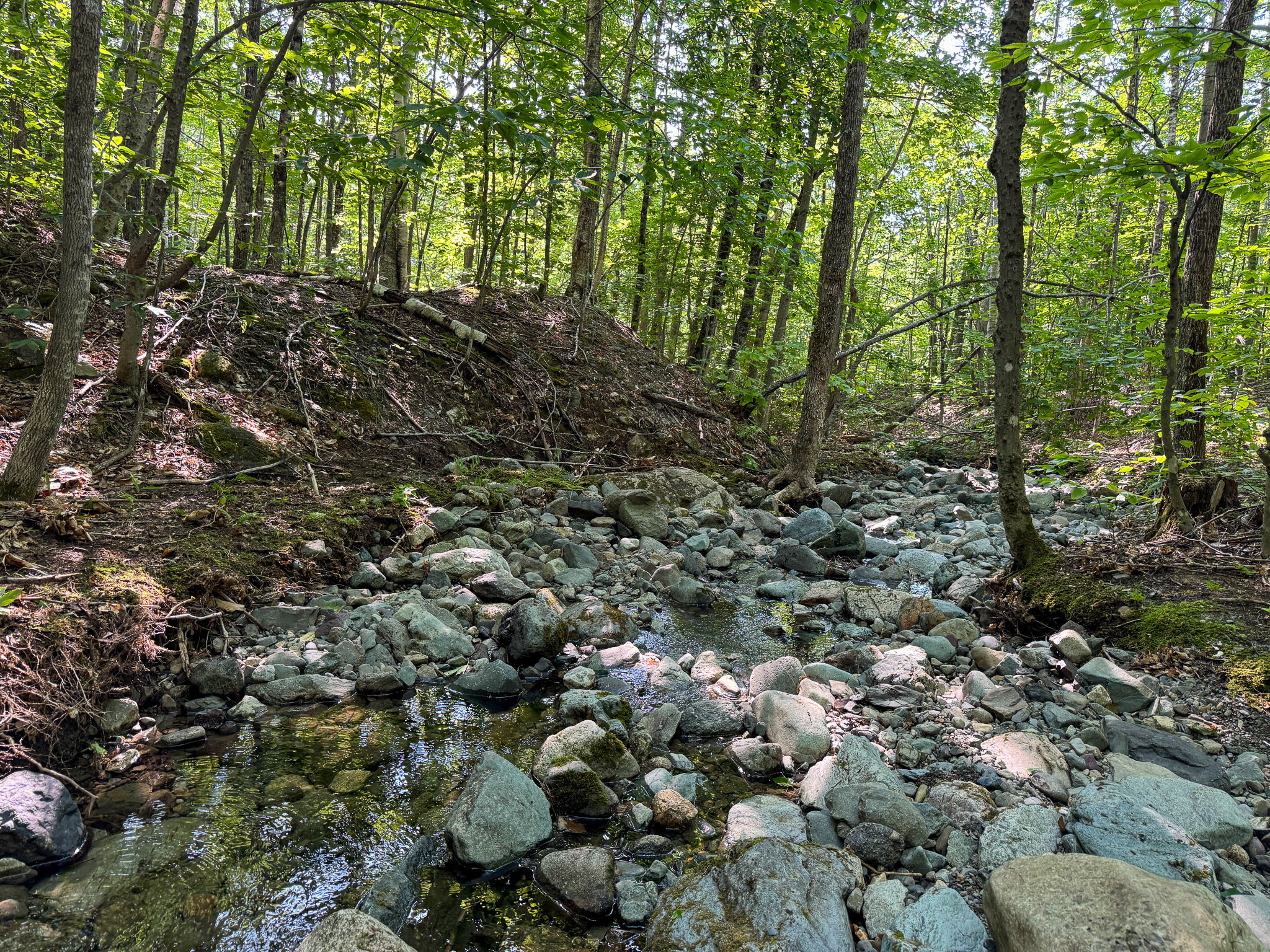 80± Acres of Off-Grid Mountain Land in Mount Chase, Maine