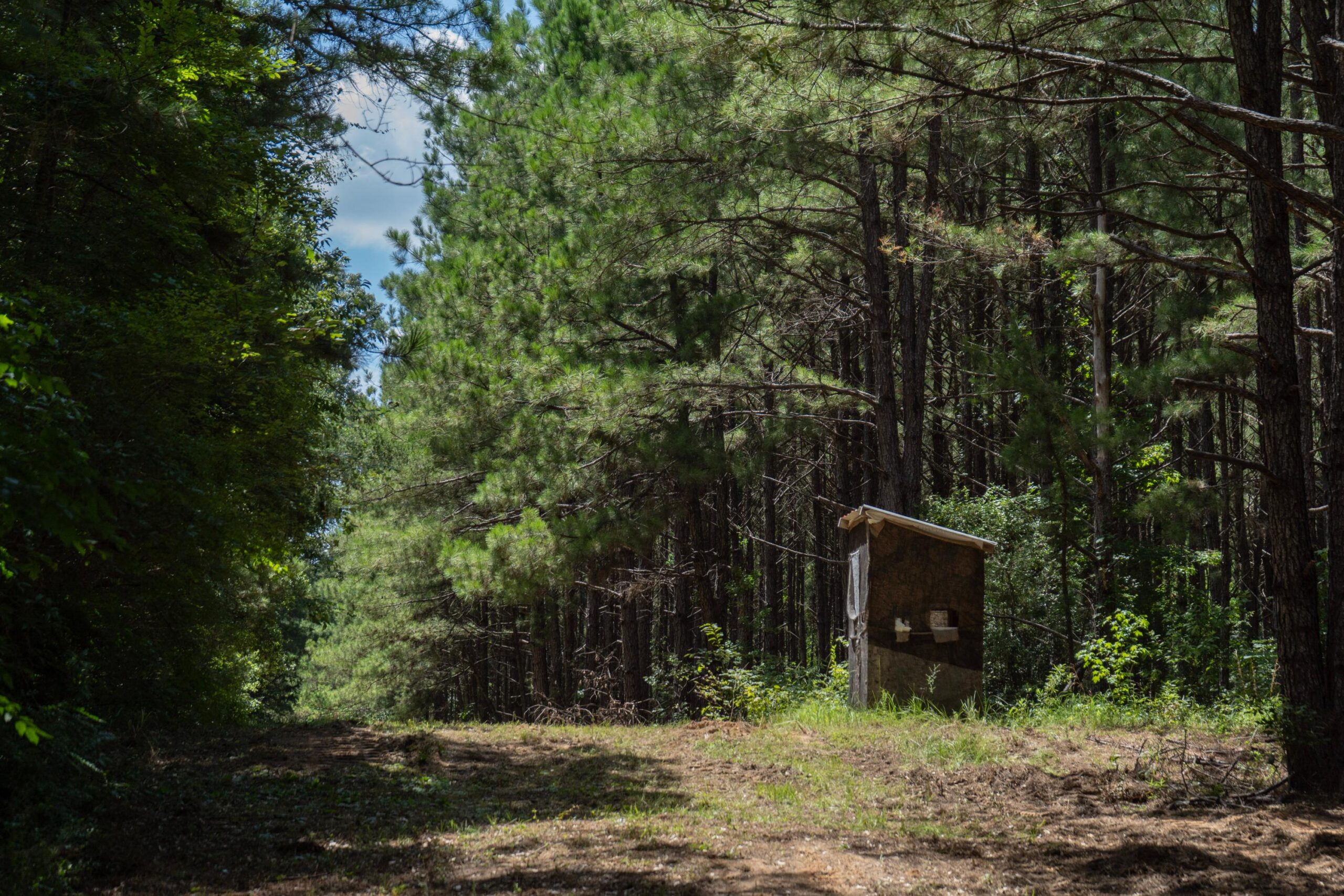 Lapine 216 Multi Use Recreational Timber – Ouachita Parish