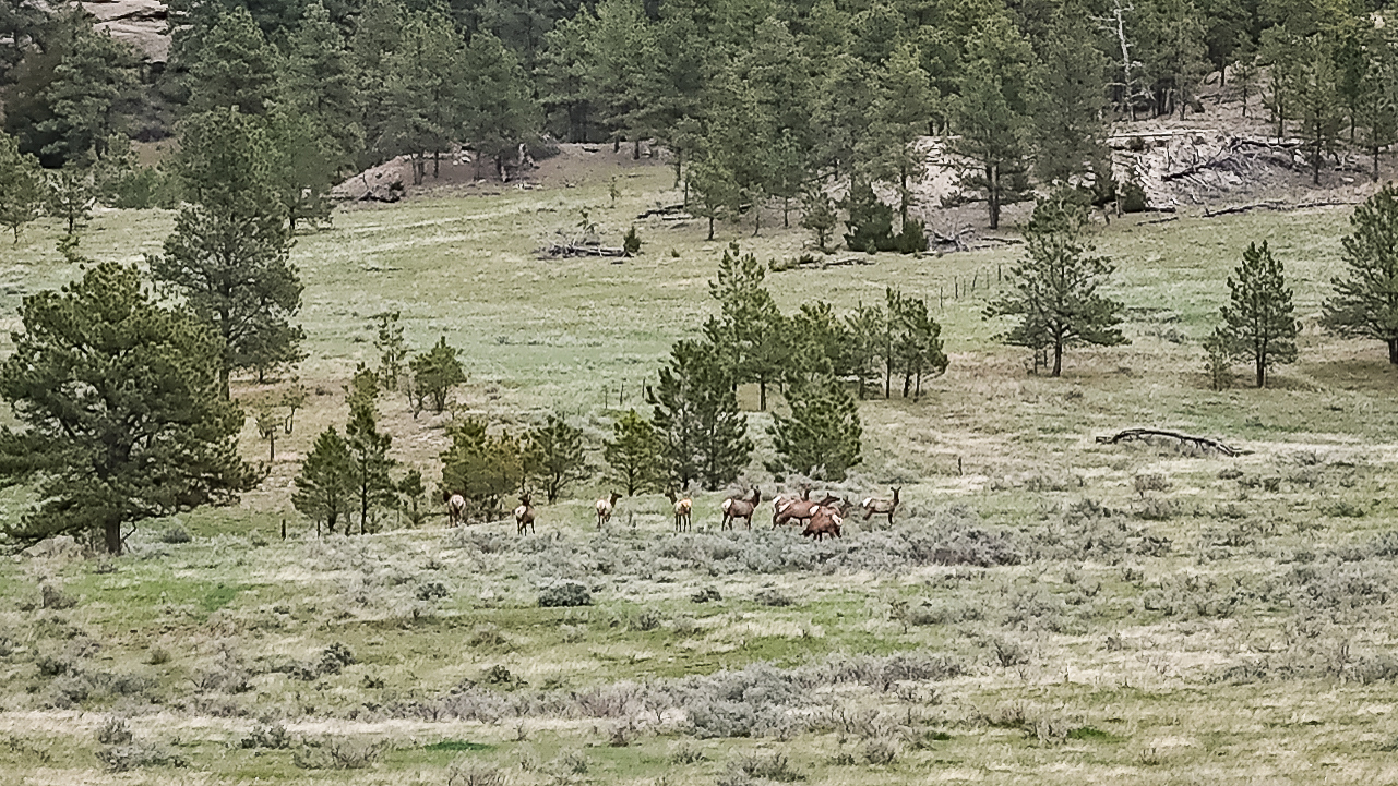 Windancer Ranch | | Custer, Montana
