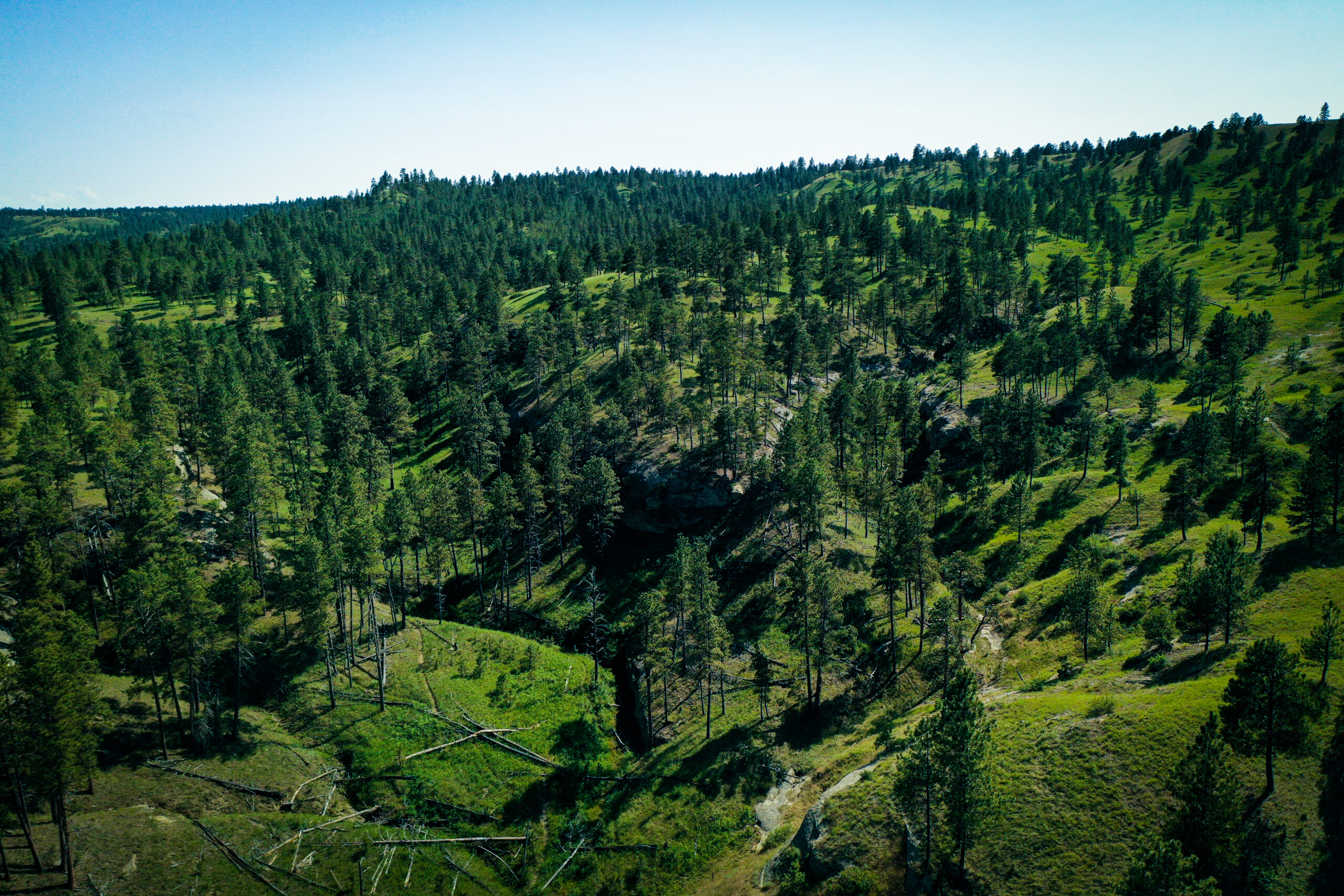 Pine Ridge Sanctuary-Premier Montana Hunting Land near Billings