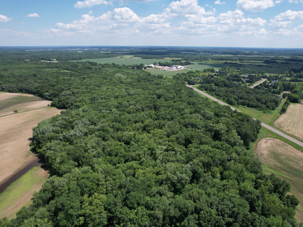 71.8-Acre Heavily Wooded Hunting Parcel with 4,500 Ft of St. Francis River Frontage