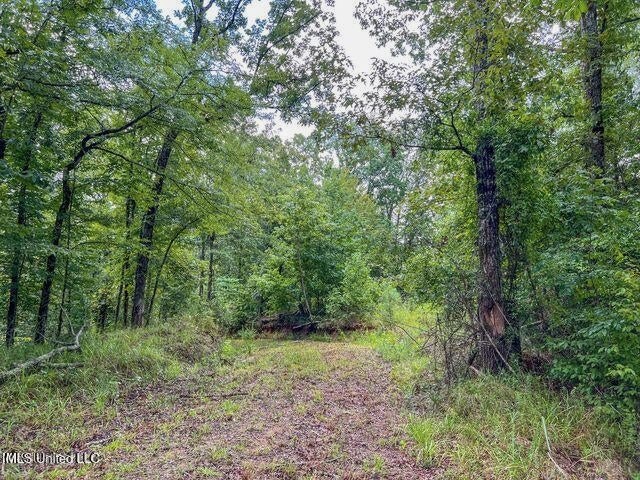 95 Acres of Prime Hunting Property in Hinds County