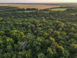 Land For Sale Barton County, MO 160± acres