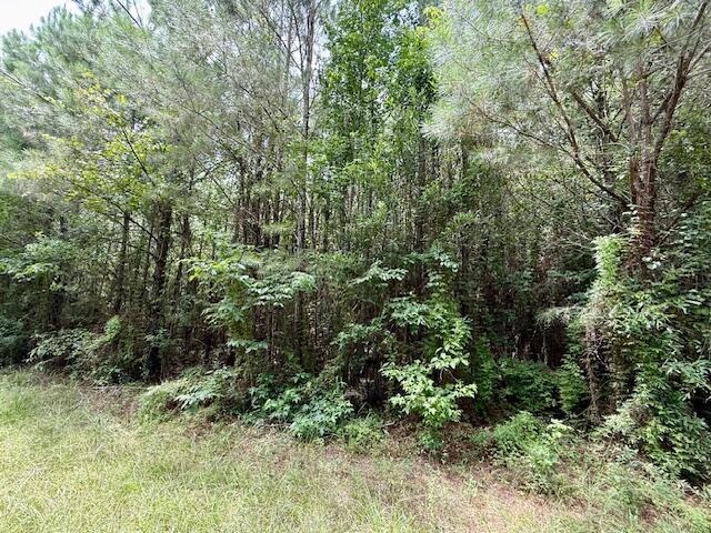 67 Acres For Sale Lawrence County MS