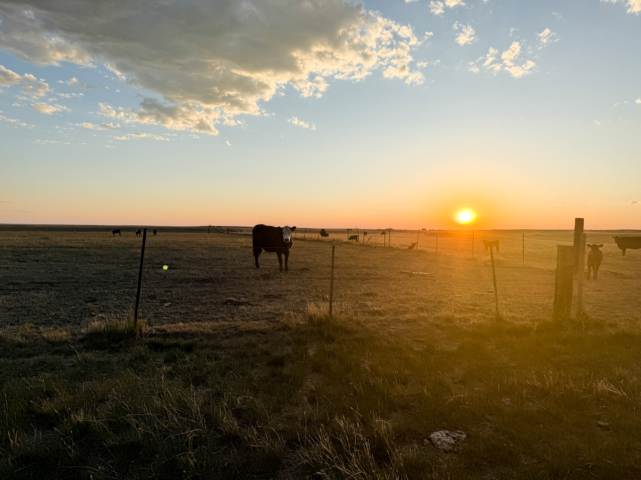 Norman Mavencamp Ranch
