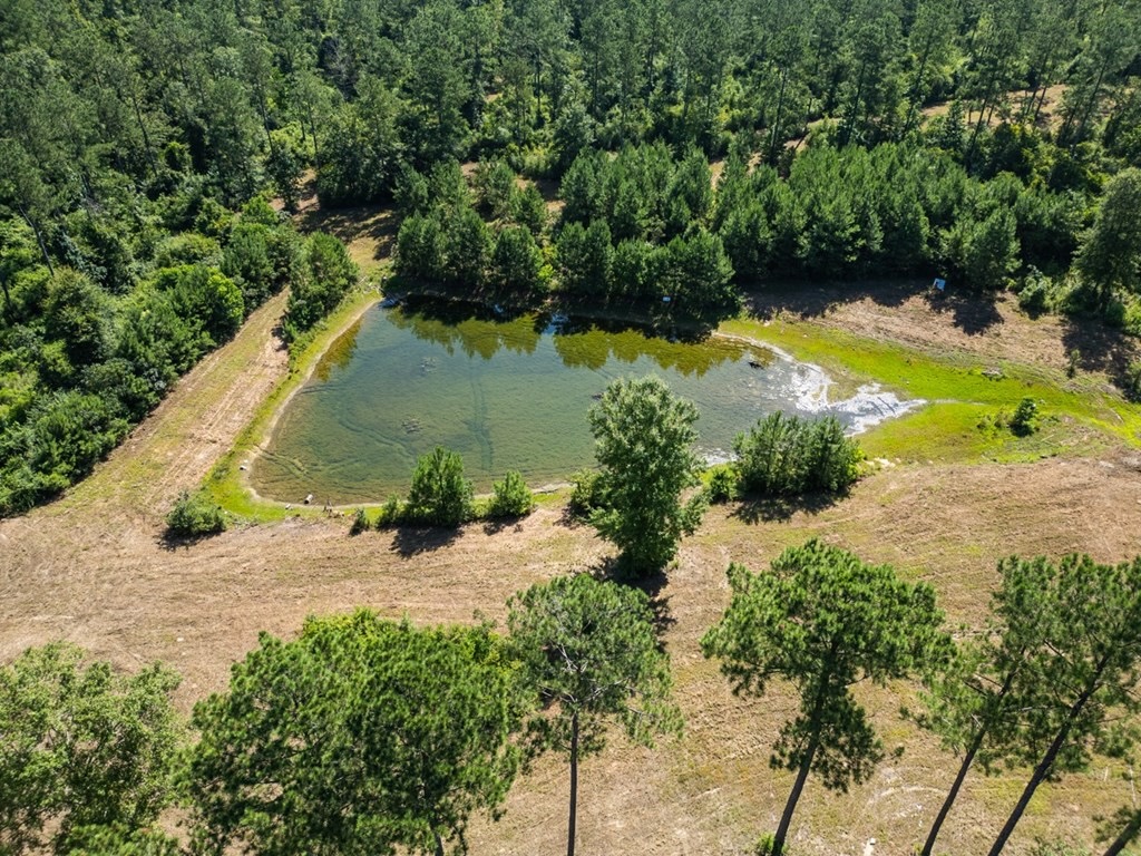 Osyka MS Hunting Land with Pond – Pike 38
