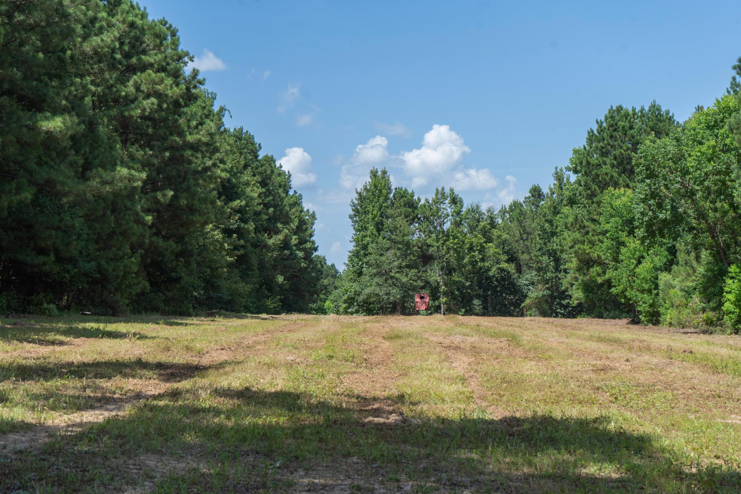 Lapine 216 Multi Use Recreational Timber – Ouachita Parish