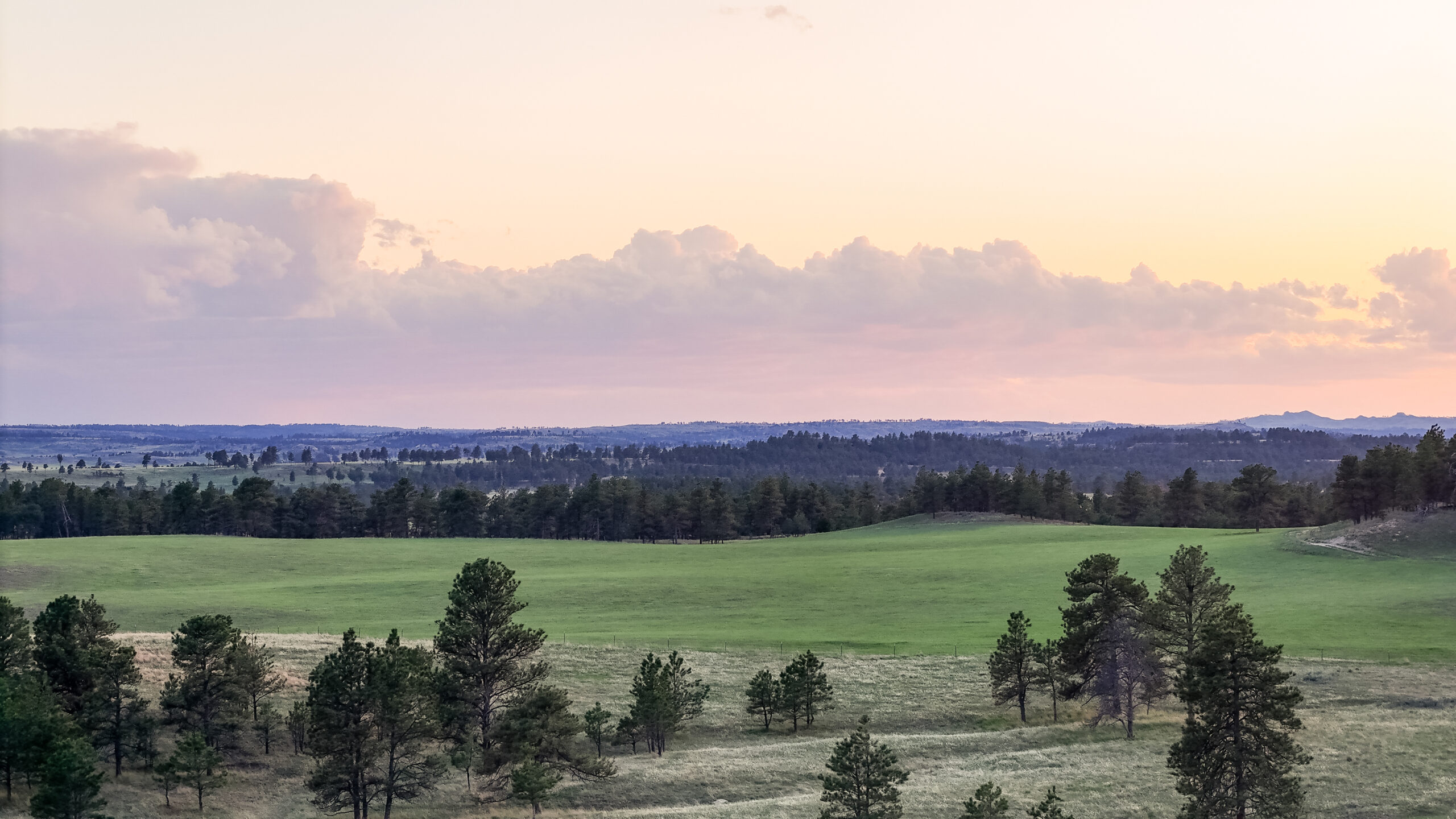 Windancer Ranch | | Custer, Montana
