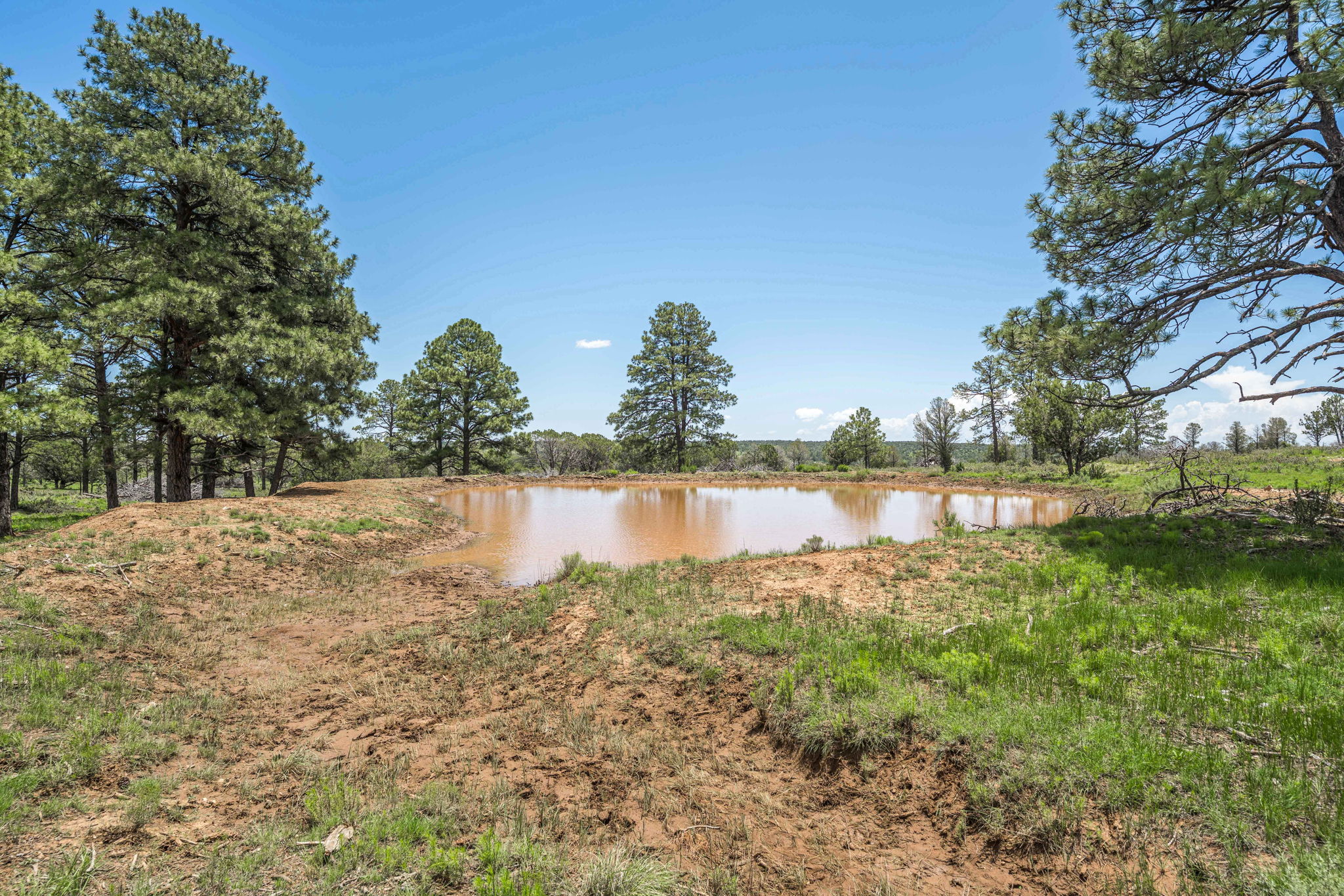 Cattle & Hunting Ranch for Sale in Weed, NM