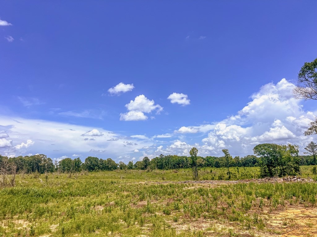 Land for Sale in Amite County, MS