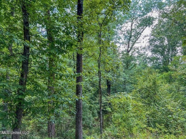 95 Acres of Prime Hunting Property in Hinds County