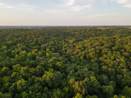 Land For Sale Barton County, MO 160± acres