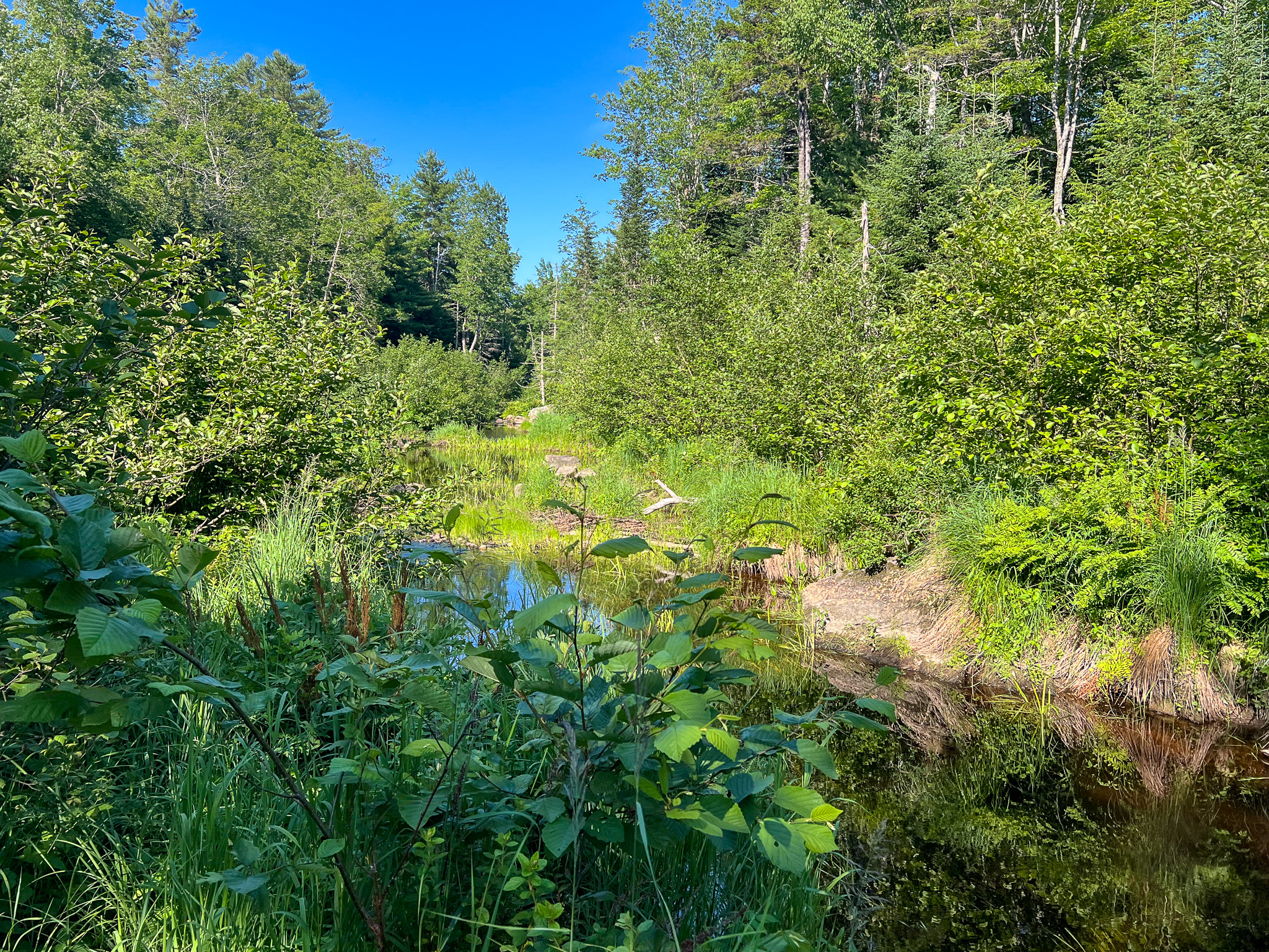 35± Acres with 1500 feet on the Brook