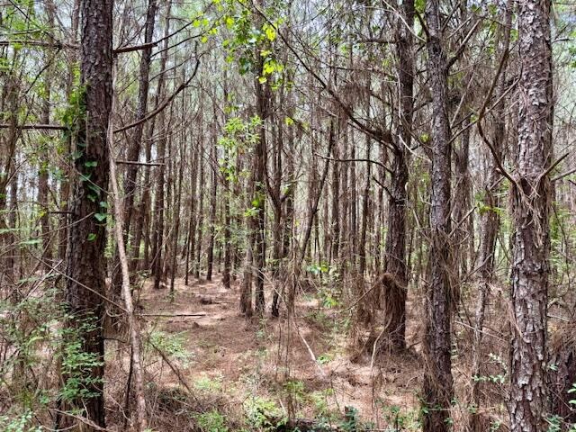 67 Acres For Sale Lawrence County MS