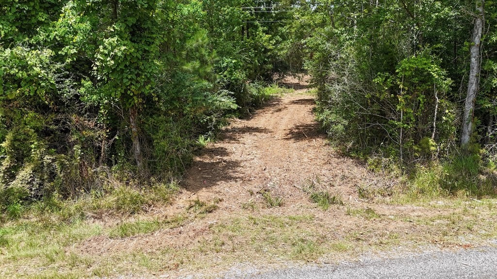 Small Hunting Tract FOR SALE in Amite County, MS