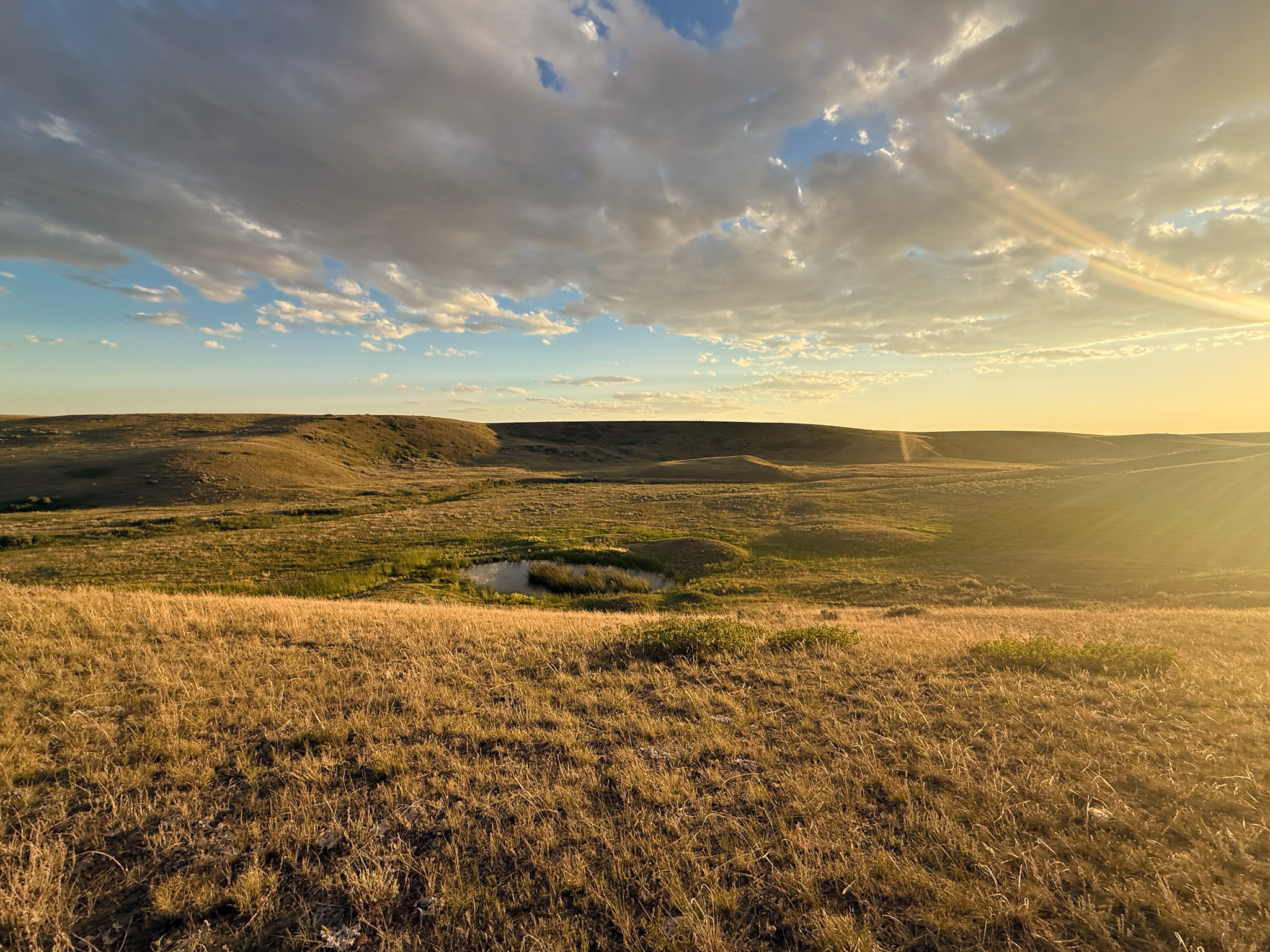 Norman Mavencamp Ranch