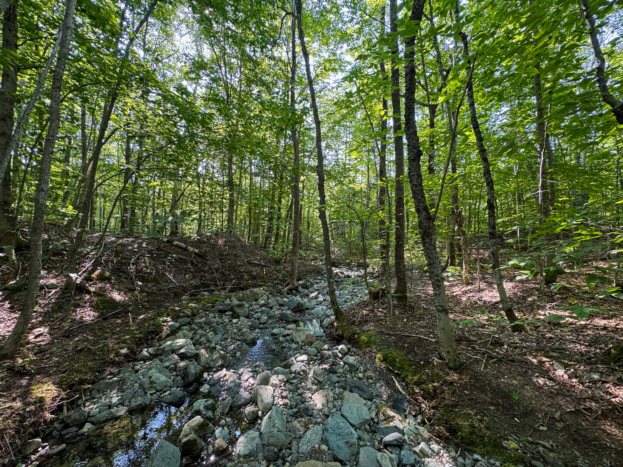 80± Acres of Off-Grid Mountain Land in Mount Chase, Maine