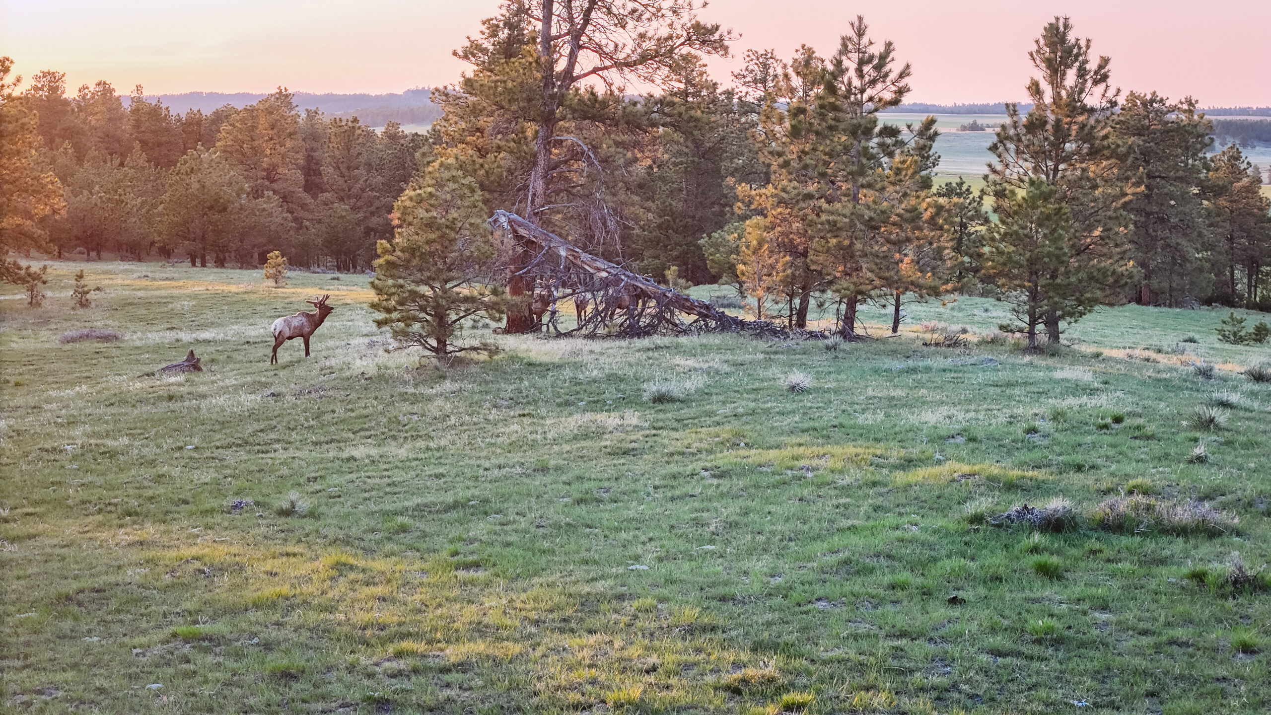 Buffalo Creek Ranch