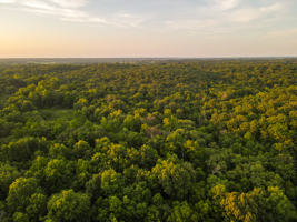 Land For Sale Barton County, MO 160± acres
