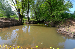 142+\- acres  For Sale El Dorado Springs MO