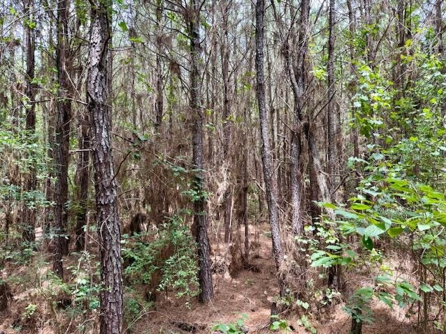 67 Acres For Sale Lawrence County MS
