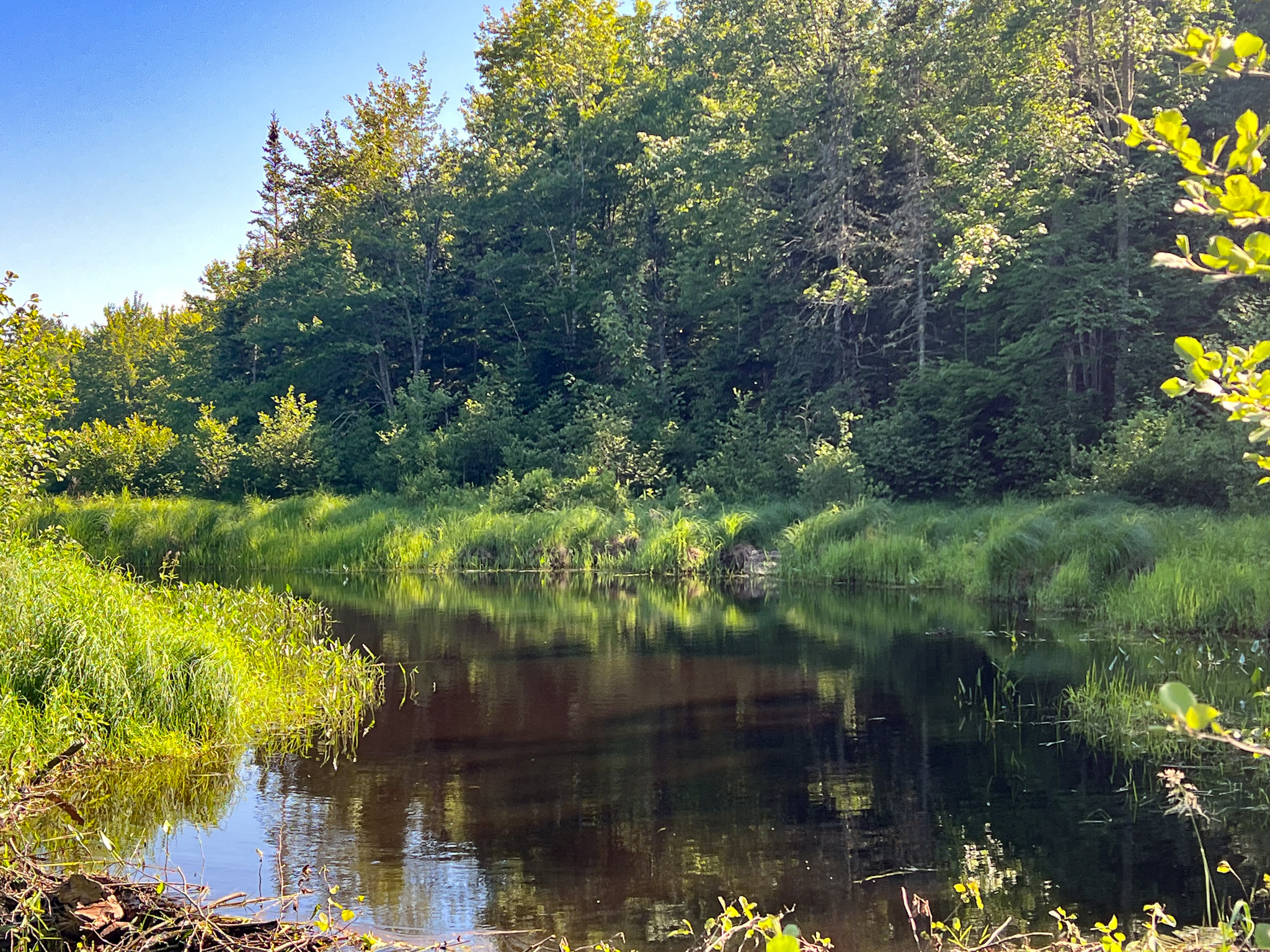 35± Acres with 1500 feet on the Brook