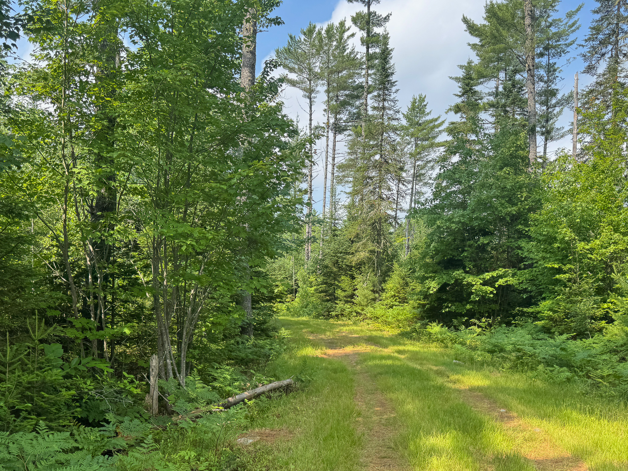 Remote Maine Hunting Camp with Stream Frontage