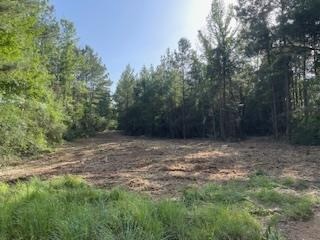 Small Hunting Tract FOR SALE in Amite County, MS