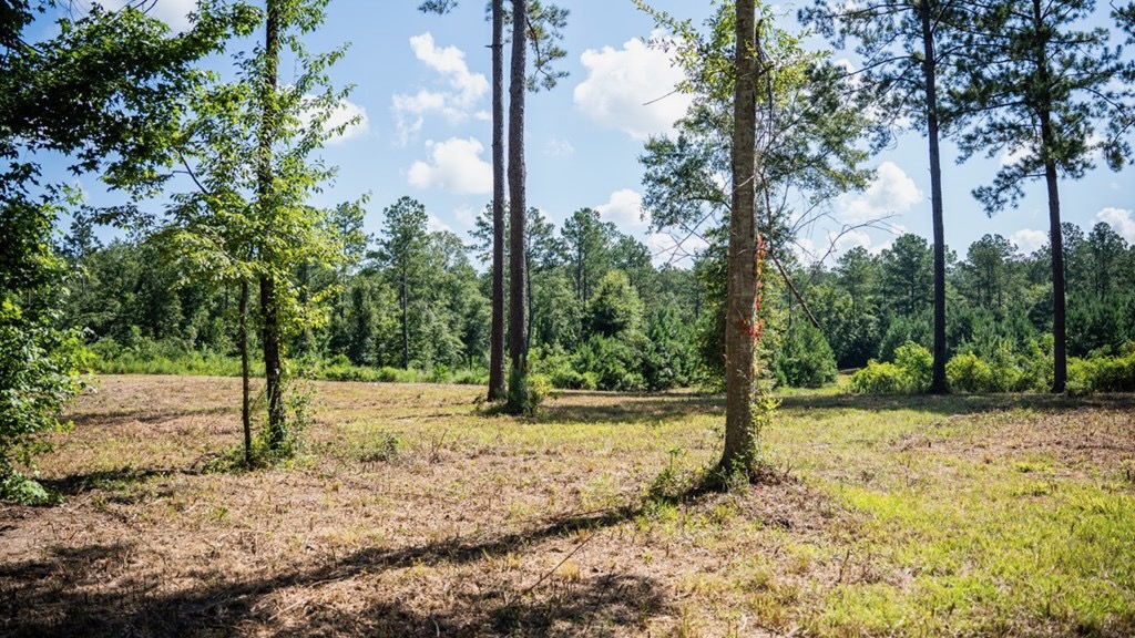Osyka MS Hunting Land with Pond – Pike 38