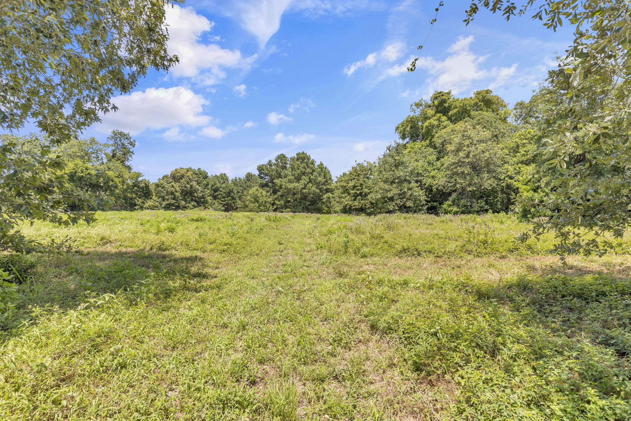 Texas Recreational Hunting Ranch for Sale East of Dallas